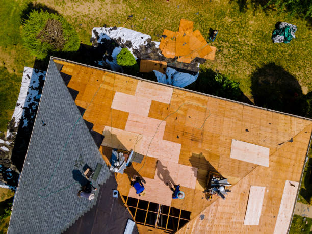 Roof Waterproofing Services in Seagoville, TX